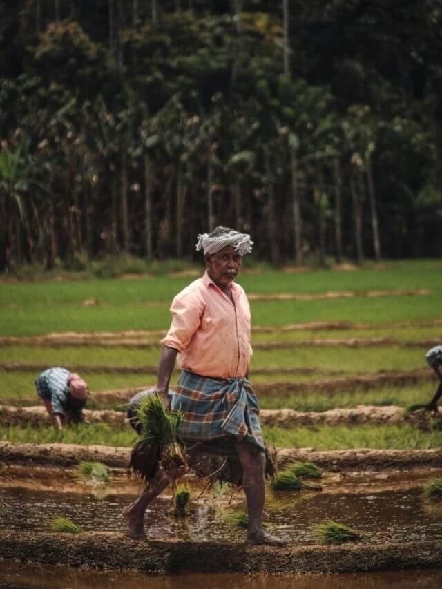 PM Kisan के बाद करोड़ों क‍िसानों के ल‍िए एक और बड़ी खबर, सरकार ने शुरू की ₹1,000 करोड़ की क्रेडिट गारंटी स्कीम