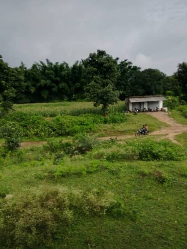 गांव-देहात में जहां नहीं आती फोन की रेंज, वहां आसमान से उतरा इंटरनेट, स्पीड अभी कम लेकिन बढ़ेगी