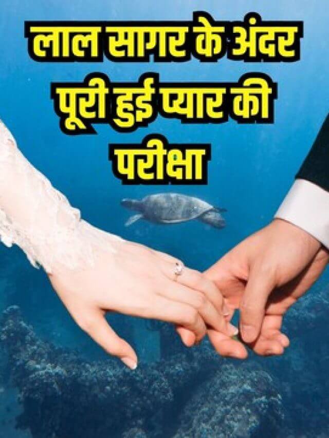 शादी करने का अनोखा अंदाज, लाल सागर के भीतर गए कपल, बेखौफ होकर बने एक-दूजे के हमसफर