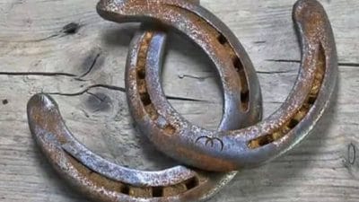 घर के दरवाजे पर घोड़े की नाल लगाने से होते हैं ये 5 फायदे, देवगणों का मिलता है विशेष आशीर्वाद