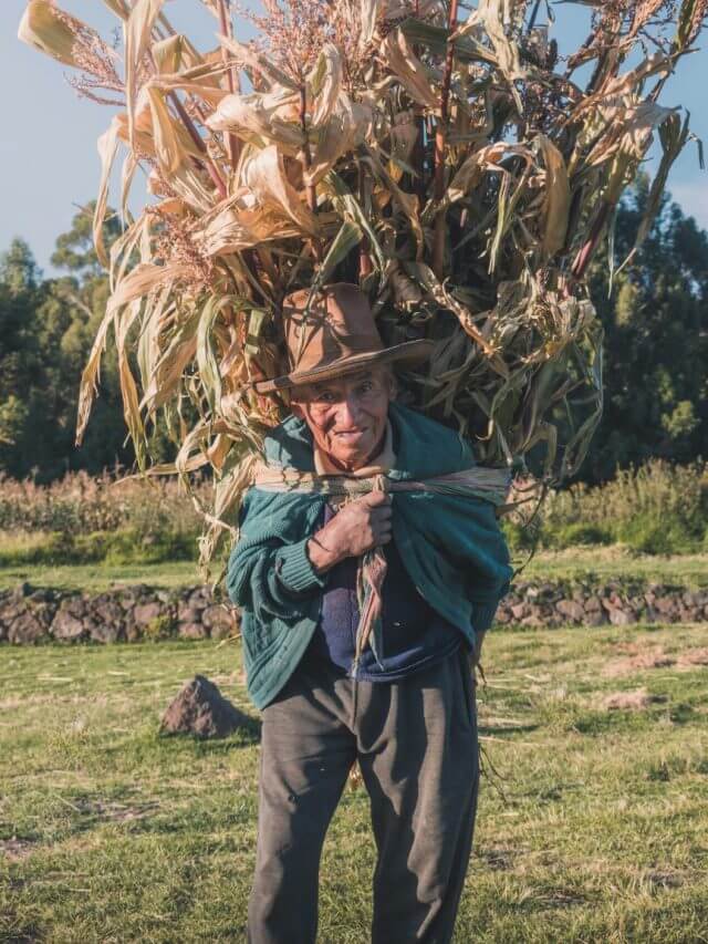 Farmers ID Card : किसान सम्मान निधि, फसल बीमा योजना या सस्ता लोन, एक कार्ड से होंगे पूरे सारे काम