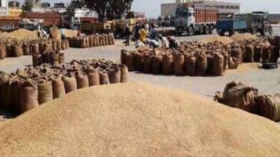 सरकार की सख्ती, मिलिंग कार्य में लापरवाही बर्दाश्त नहीं होगी, धान परिवहन करने वाले वाहनों पर लगेगा जीपीएस, मिलर्स को भी कड़े निर्देश
