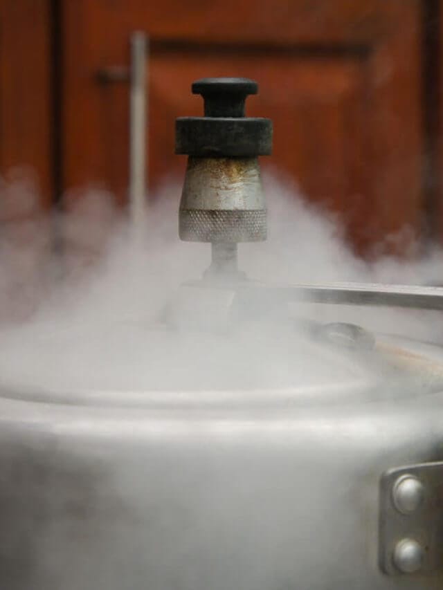 Kitchen Hacks : प्रेशर कुकर की सीटी पर जमी गंदगी और कालापन उसकी कार्यक्षमता को प्रभावित कर सकते हैं, लेकिन कुछ आसान टिप्स से इसे साफ किया जा सकता है।