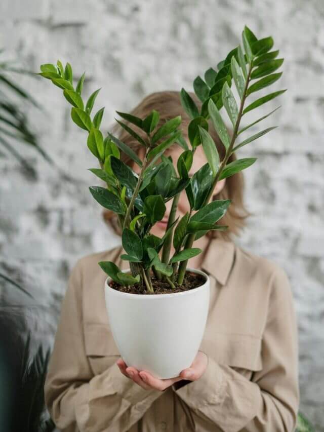 pexels-cottonbro-4503744