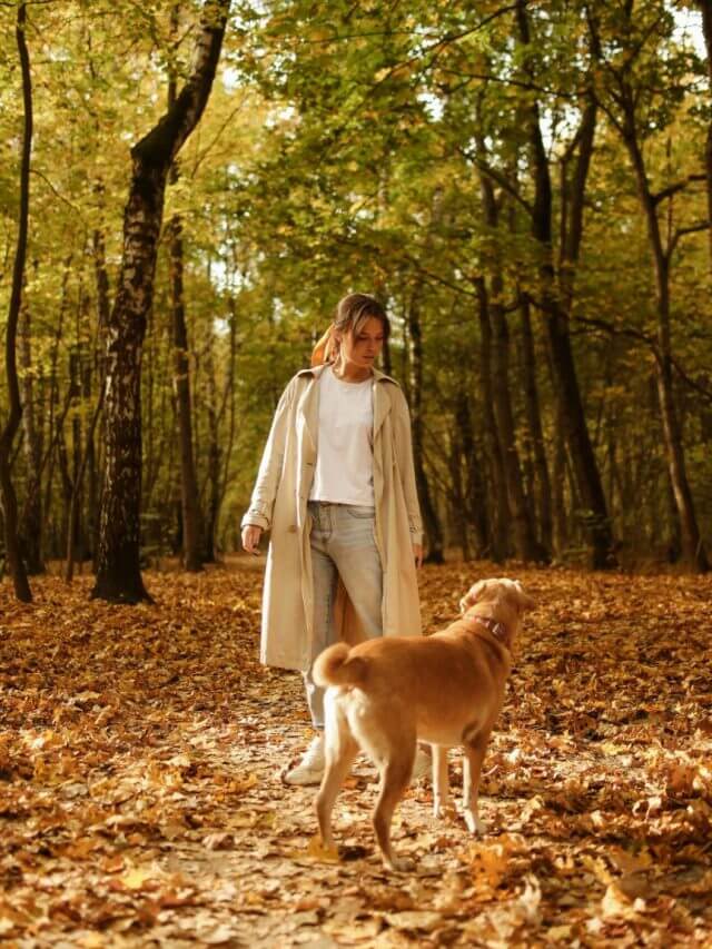 pexels-polina-tankilevitch-5539950