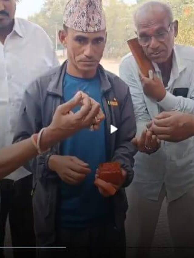 Real Saffron Identify Tips: कैसे पहचानें असली और नकली केसर? नेपाली  एक्सपर्ट ने शेयर किया तरीका, पत्तियों से होगी सही पहचान