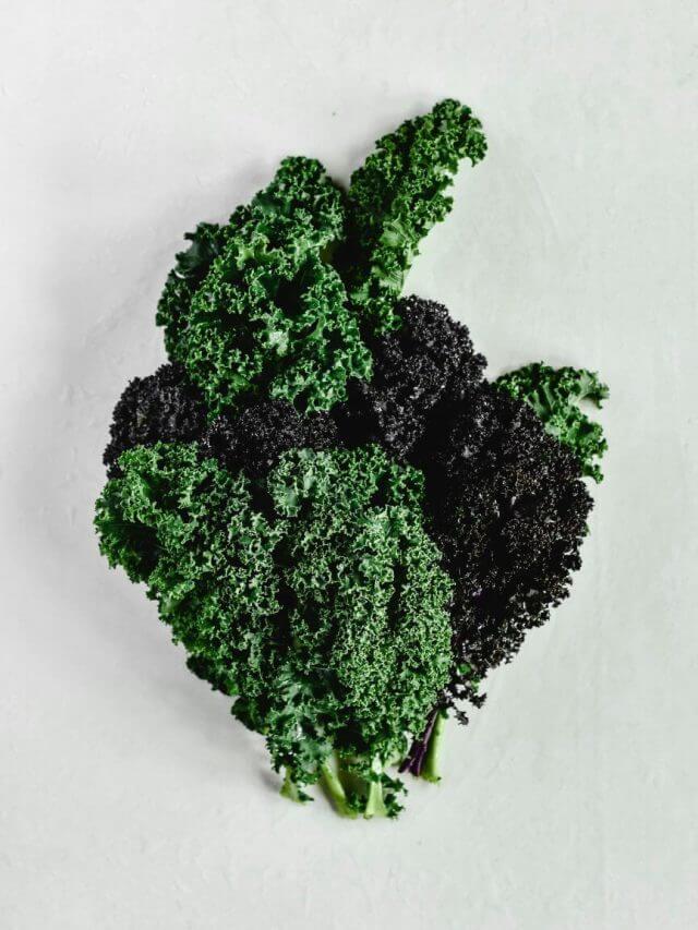 pexels-eva-bronzini-5755474