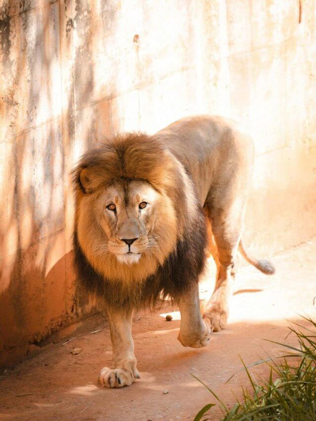 pexels-daniel-duarte-270529097-16149938