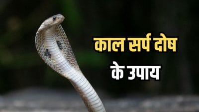 काल सर्प दोष से पाना चाहते हैं मुक्ति? आजमाएं ये 5 रामबाण उपाय