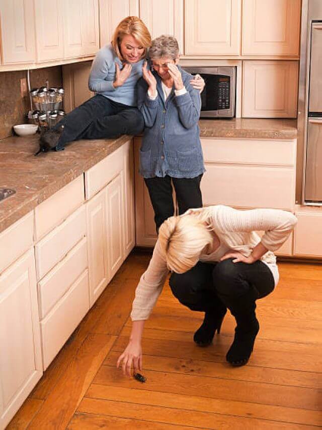 Mother and Grandmother cower as teen picks up big bug from kitchen floor.