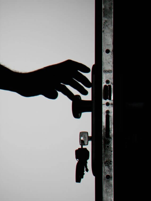 pexels-eye4dtail-792032