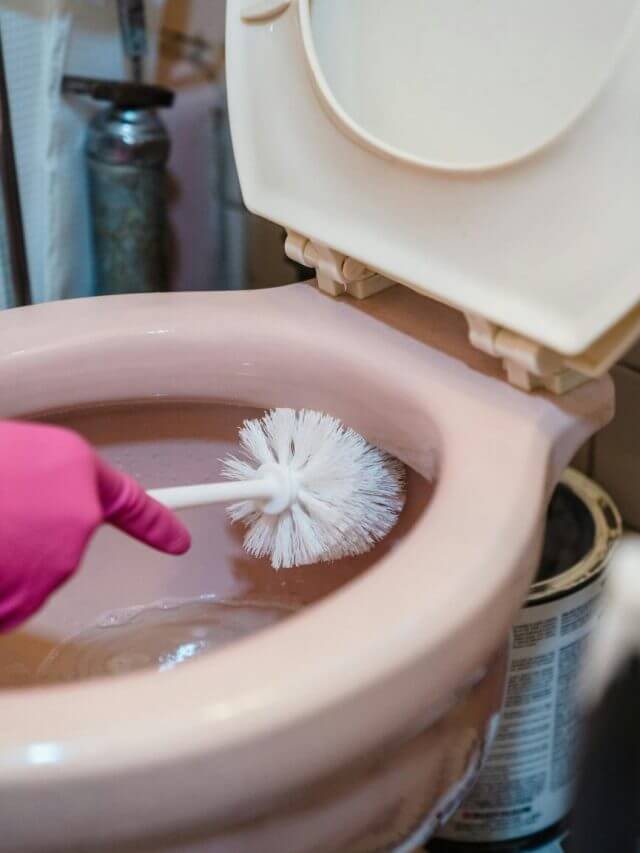 इस उपाय से टॉयलेट सीट के पीले दाग हो जाएंगे छूमंतर, गंदगी पल भर में साफ हो जाएगी और सीट चमक उठेगी जैसे बिलकुल नई हो।