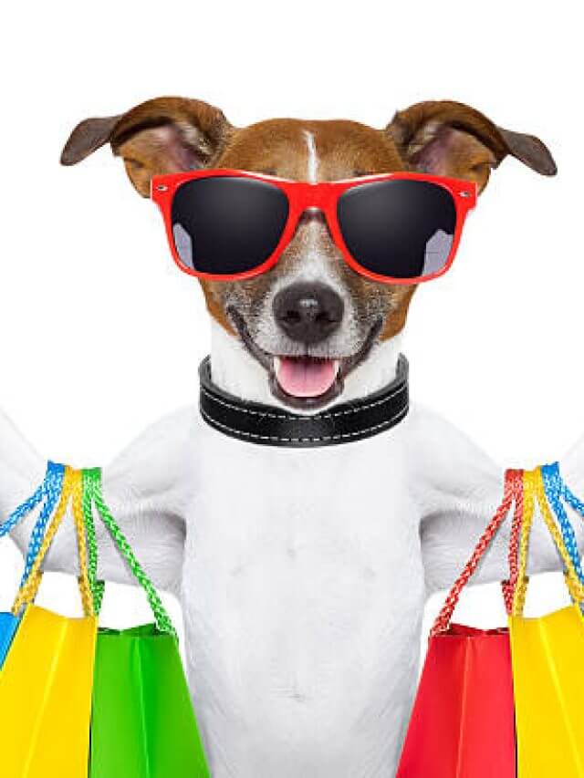 personal trainer dog with dumbbells and a whistle