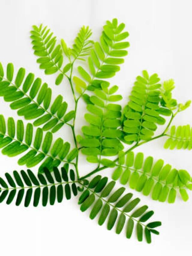 istockphoto-1962647772-612x612