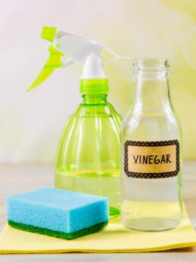 istockphoto-1154760731-612x612