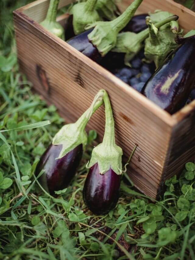 pexels-zen-chung-5529605