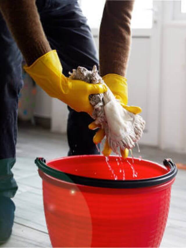 istockphoto-1950559717-612x612