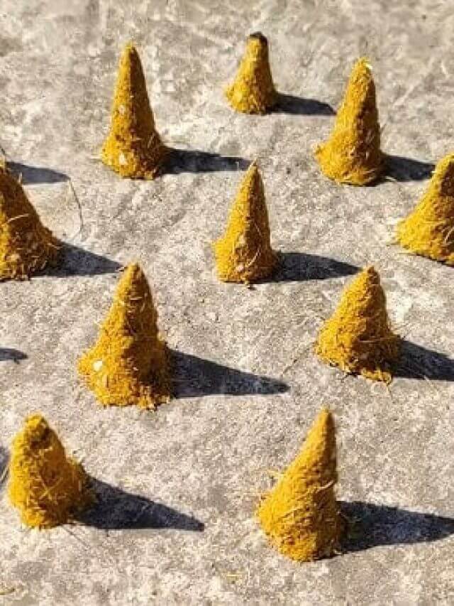 क्या आप पूजा के फूलों को कूड़े में फेंक देते हैं? इनसे बनाएं सुगंधित धूपबत्ती, जिससे सालभर खरीदने की जरूरत नहीं पड़ेगी। जानिए इसका आसान तरीका