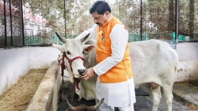 MP के स्कूलों में शुरू होंगे उन्नत कृषि को बढ़ावा देने, डेयरी विकास से जुड़े व्यावसायिक कोर्स, शिक्षा विभाग ने केंद्र सरकार को भेजा प्रस्ताव