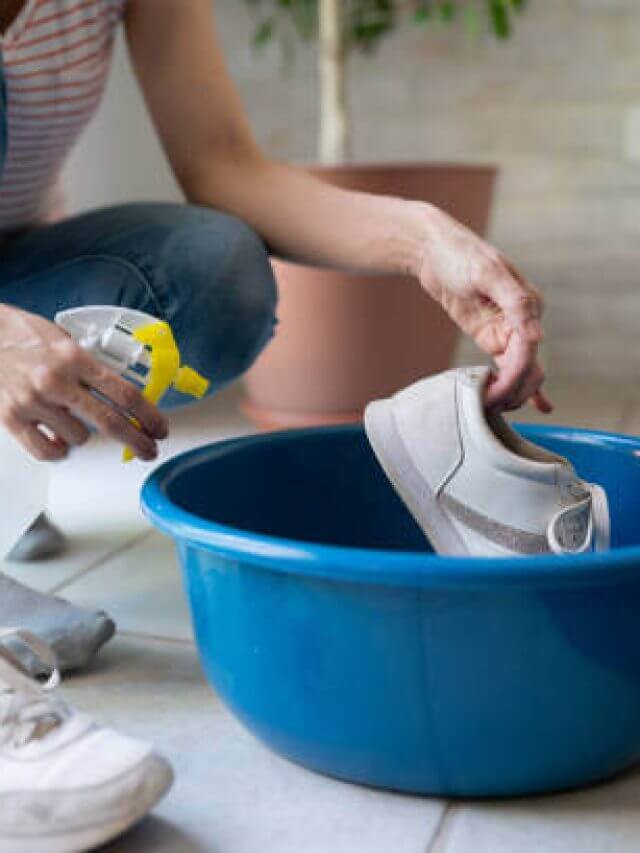 istockphoto-1232625155-612x612