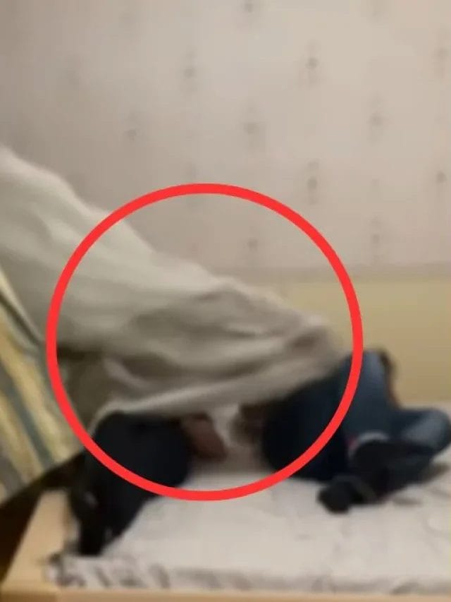 Video : युवक बेड पर सो रहा था, तभी खिड़की से छलांग लगाकर कमरे में घुस गया पैंथर, यह डरावना वीडियो हो रहा है वायरल!