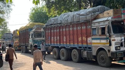 15 हजार क्विंटल जब्त गेहूं किसका? एक दिन बाद भी सामने नहीं आया कोई व्यापारी, प्रशासन लेगा कड़ा एक्शन