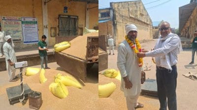 उपार्जन केंद्रों पर गेहूं बेचने आए किसानों का फूल-मालाओं से हो रहा है स्वागत, 5 मई तक चलेगी खरीदी
