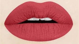 Brick Red Lipstick