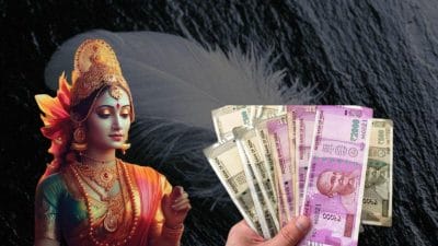 इस पक्षी का पंख घर में रखते ही बरसेगा पैसा, करोड़पति बनने का सपना होगा पूरा!