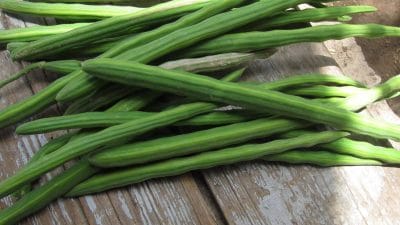 सहजन चाव से खाते हैं तो हो जाएं सावधान! इन 4 लोगों के लिए जहर से नहीं है कम