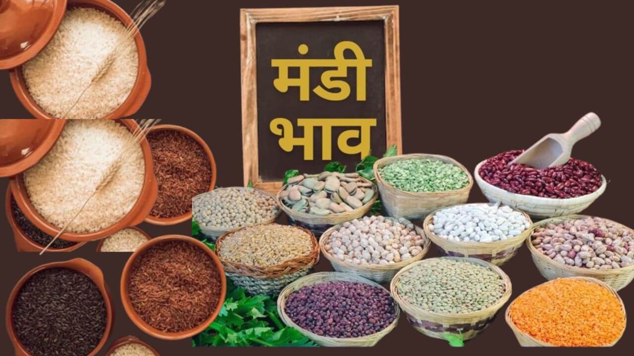 mandi bhav Mandi Bhav