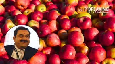 गौतम अडानी का ‘एप्पल’ साम्राज्य, ऐसे बदली हजारो किसानों की किस्मत, देश के हर कोने तक पहुंचाई सेवफ़ल की मिठास!