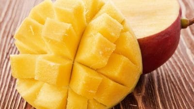 भारत का इकलौता आम का पेड़, जिसे सरकार ने दिया ऐतिहासिक दर्जा, विदेशी भी आते हैं देखने!