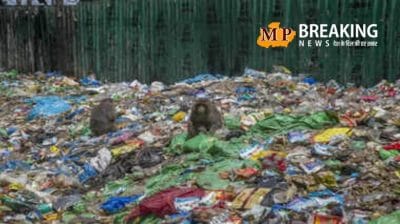 कचरे का ढेर नहीं ये है करोड़ों का आइडिया! इस यूनिक बिजनेस से बन सकते हैं सफल बिजनेसमैन