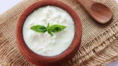 दही से जुड़े शकुन और अपशकुन, जानें किस बात का है संकेत