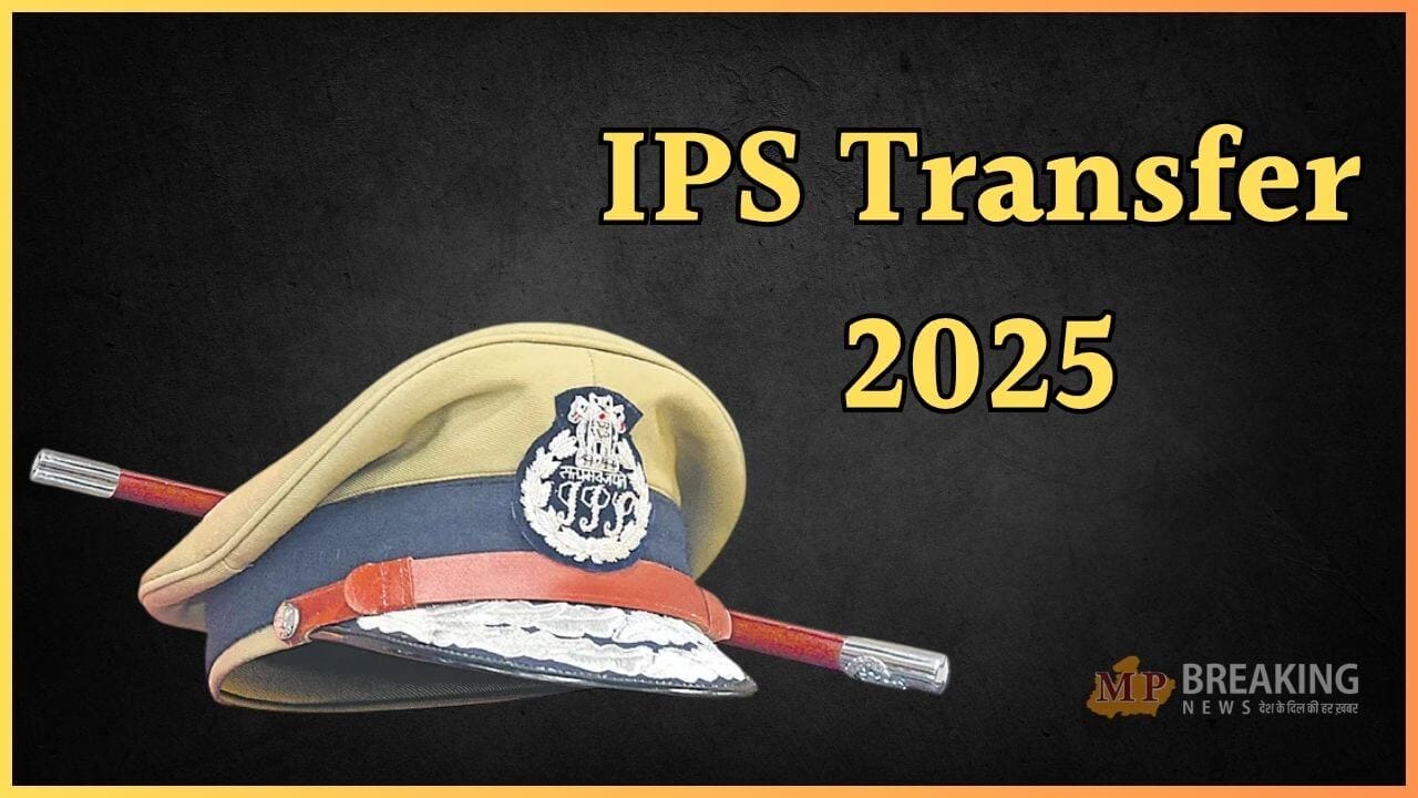 IPS ips transfer 2025
