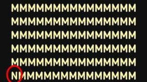 Visual Illusion Puzzle