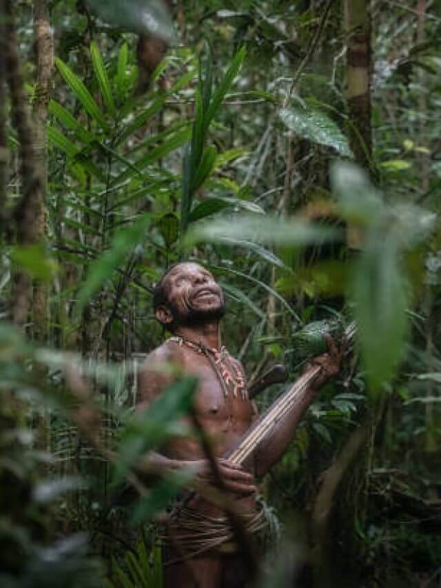 यह वो जनजातियां हैं जो लगभग 55,000 साल बाद पहली बार बाहरी दुनिया के संपर्क में आईं और आज भी पेड़ों पर बने घरों में जीवन बिताती हैं