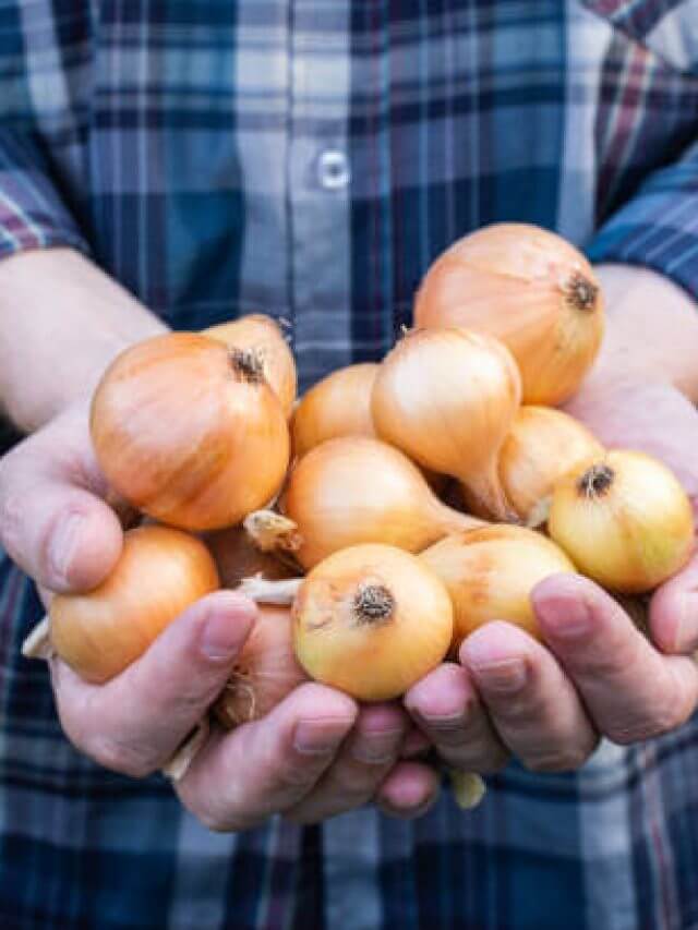 istockphoto-1171988400-612x612