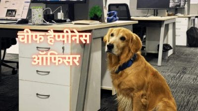 हैदराबाद की इस कंपनी ने एक कुत्ते को बनाया अपना ‘चीफ हैप्पीनेस ऑफिसर’, मिलिए CHO ‘डेनवर’ से