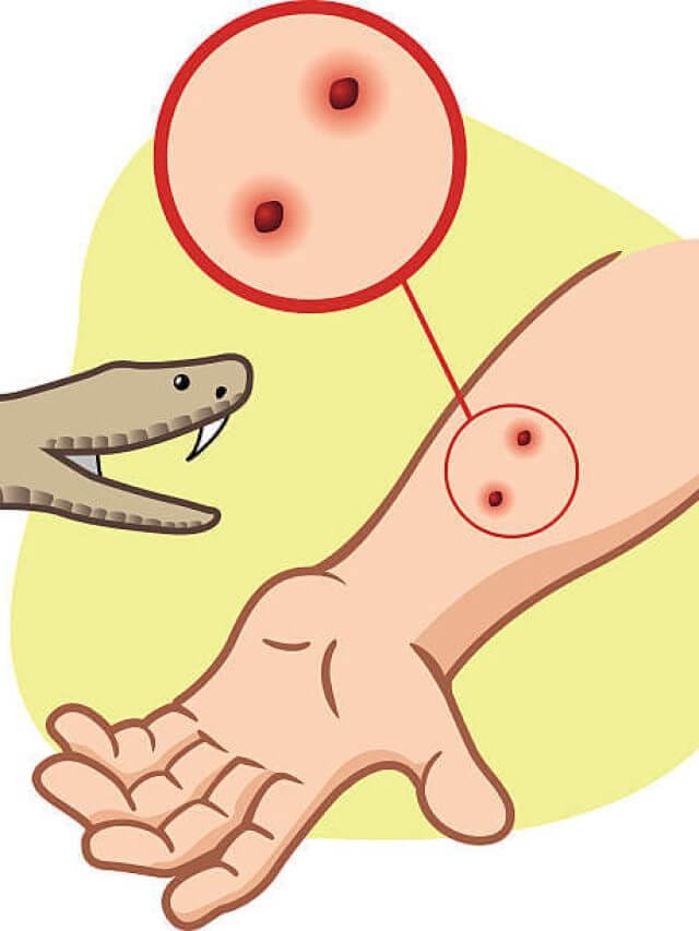 istockphoto-477912330-612x612