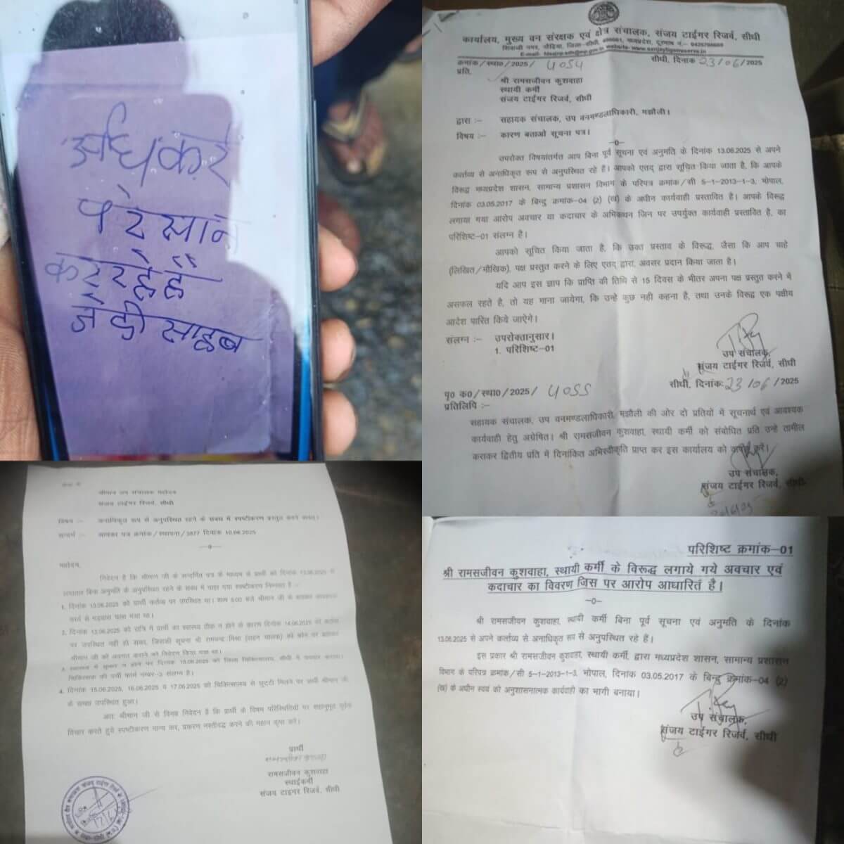 Forest Worker Ramsajeevan