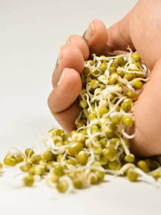 sprouted green gram coming flowing out of hand on isolated white background.