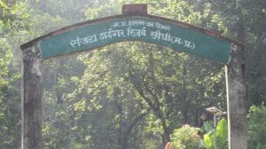 सीधी टाइगर रिज़र्व कर्मचारी की आत्महत्या पर विवाद, अधिकारी पर प्रताड़ना का आरोप, वाइल्डलाइफ एक्टिविस्ट ने मुख्यमंत्री से की कार्रवाई की मांग