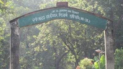 सीधी टाइगर रिज़र्व कर्मचारी की आत्महत्या पर विवाद, अधिकारी पर प्रताड़ना का आरोप, वाइल्डलाइफ एक्टिविस्ट ने मुख्यमंत्री से की कार्रवाई की मांग