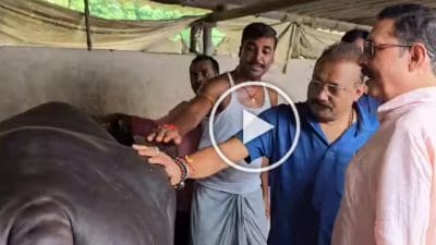 VIDEO: नीतीश के मंत्री ने अनंत सिंह के घर चाय पी और मुर्रा भैंस भी देखी, राजनीतिक हलचलें हुईं तेज