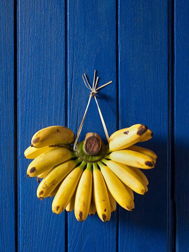 Market fresh bananas hanging on an old blue wooden wall.