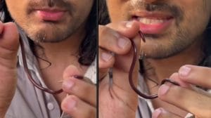 दुनिया का सबसे छोटा सांप! दिखता केंचुए जैसा, आंखें होते हुए भी है पूरी तरह से अंधा