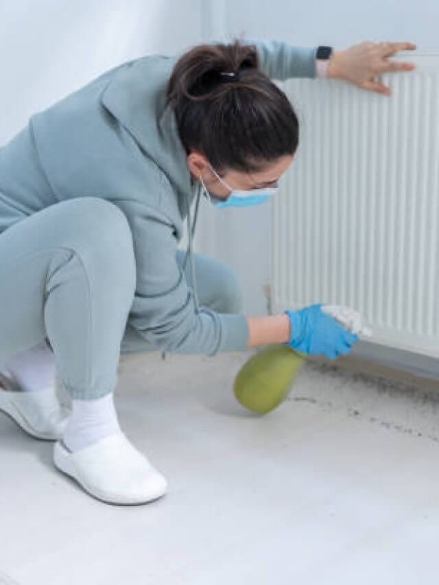 Woman Spraying Insecticide With Sprayer At Home