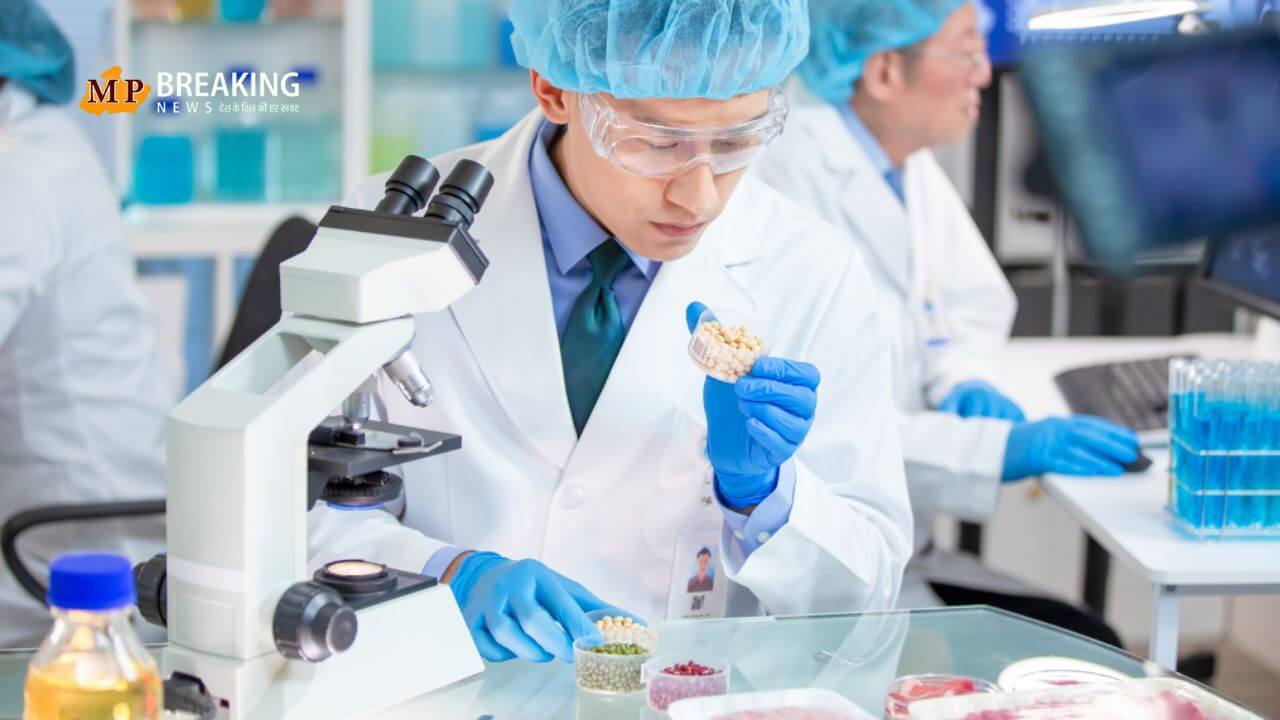 मेडिकल टेक्नोलॉजिस्ट बनने का सुनहरा अवसर, इस राज्य ने 196 पदों पर निकाली भर्ती, यहां जानिए आवेदन प्रोसेस